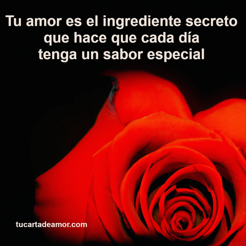 Tu amor es el ingrediente secreto que hace que cada día tenga un sabor especial