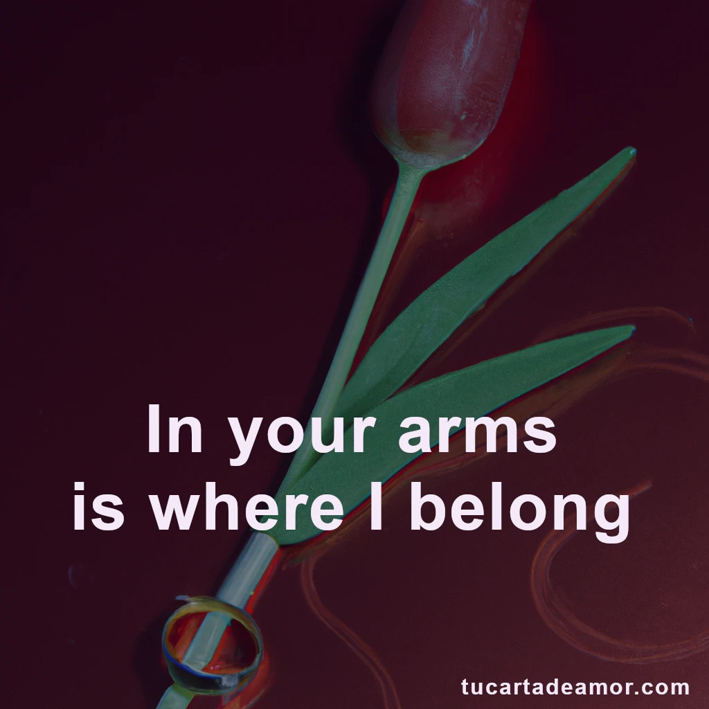 In your arms is where I belong