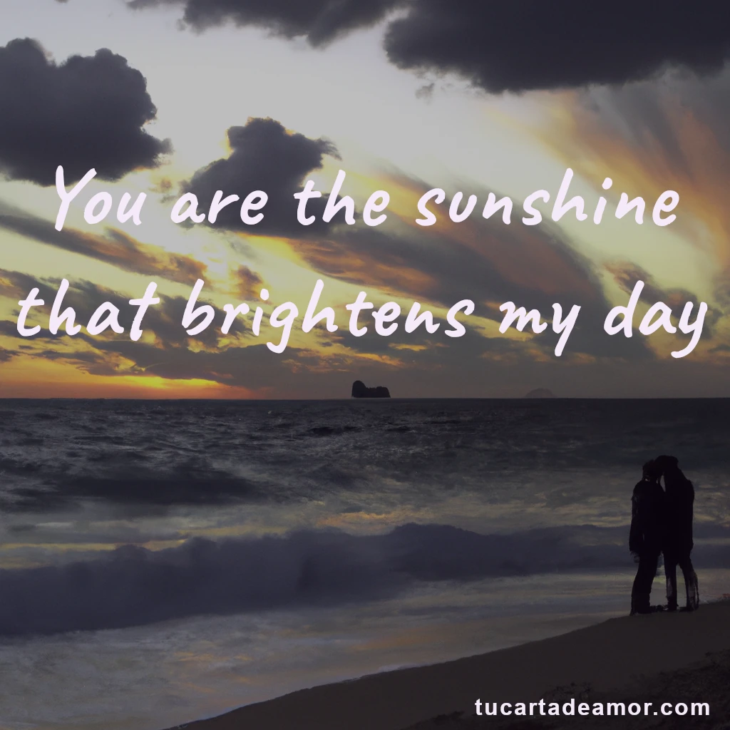 You are the sunshine that brightens my day.